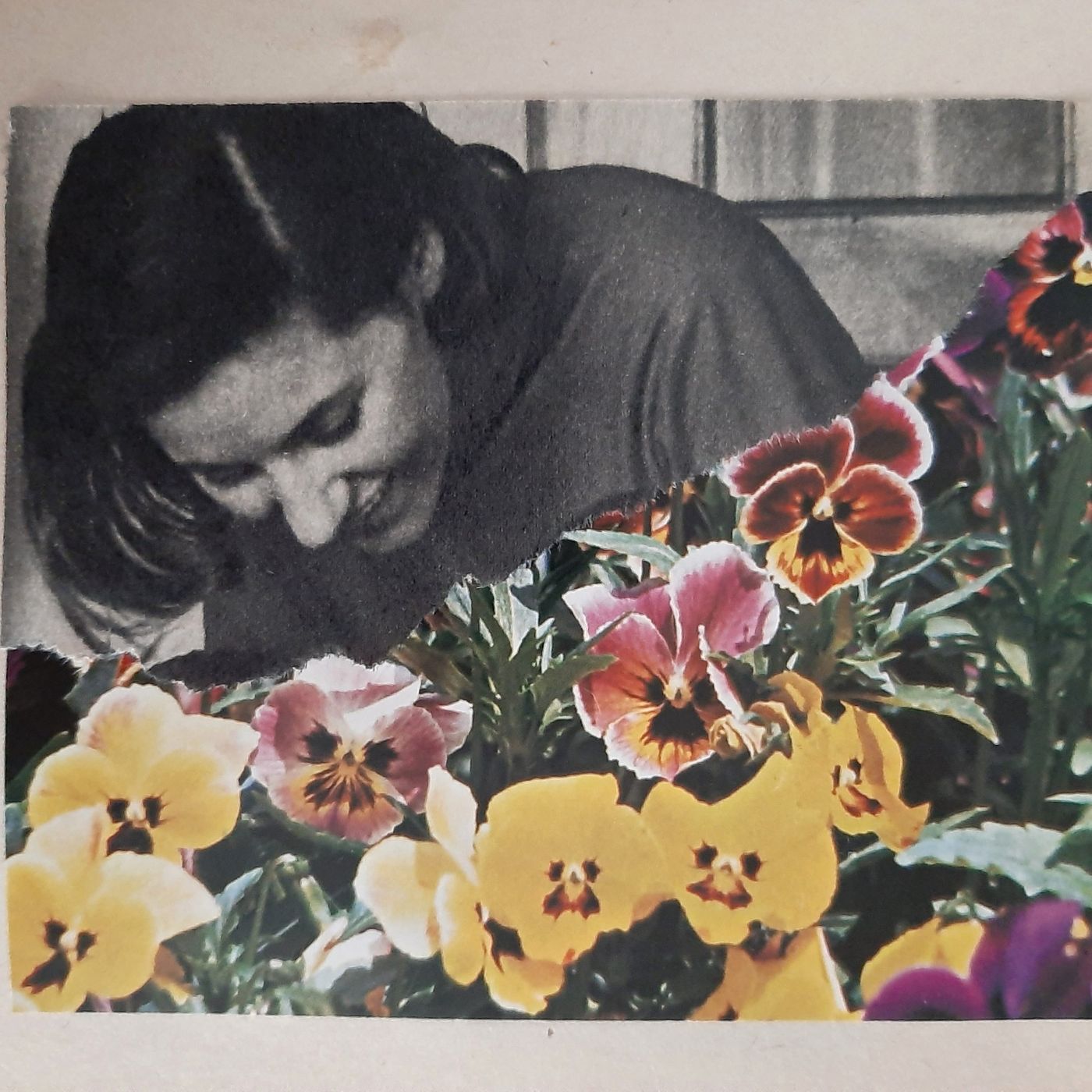 Collage: una mujer sonríe inclinada sobre un macizo de pensamientos de colores.