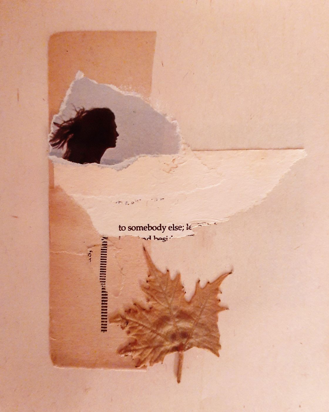 Collage: la silueta de una mujer con el pelo al viento, en un hueco de papel rasgado, junto a una hoja seca.